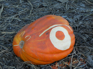 Big Mouse, Nipomo Pumpkin Patch best carving idea